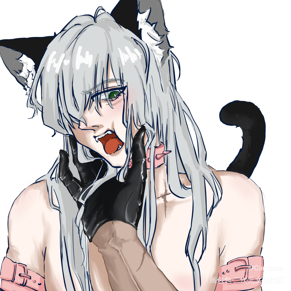 猫猫琴_名侦探柯南板绘涂同人琴酒绘画作品