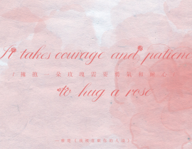 “拥抱一朵玫瑰需要勇气和耐心。_绘画作品