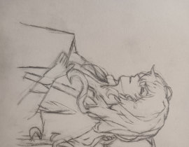 小塔柳_绘画作品