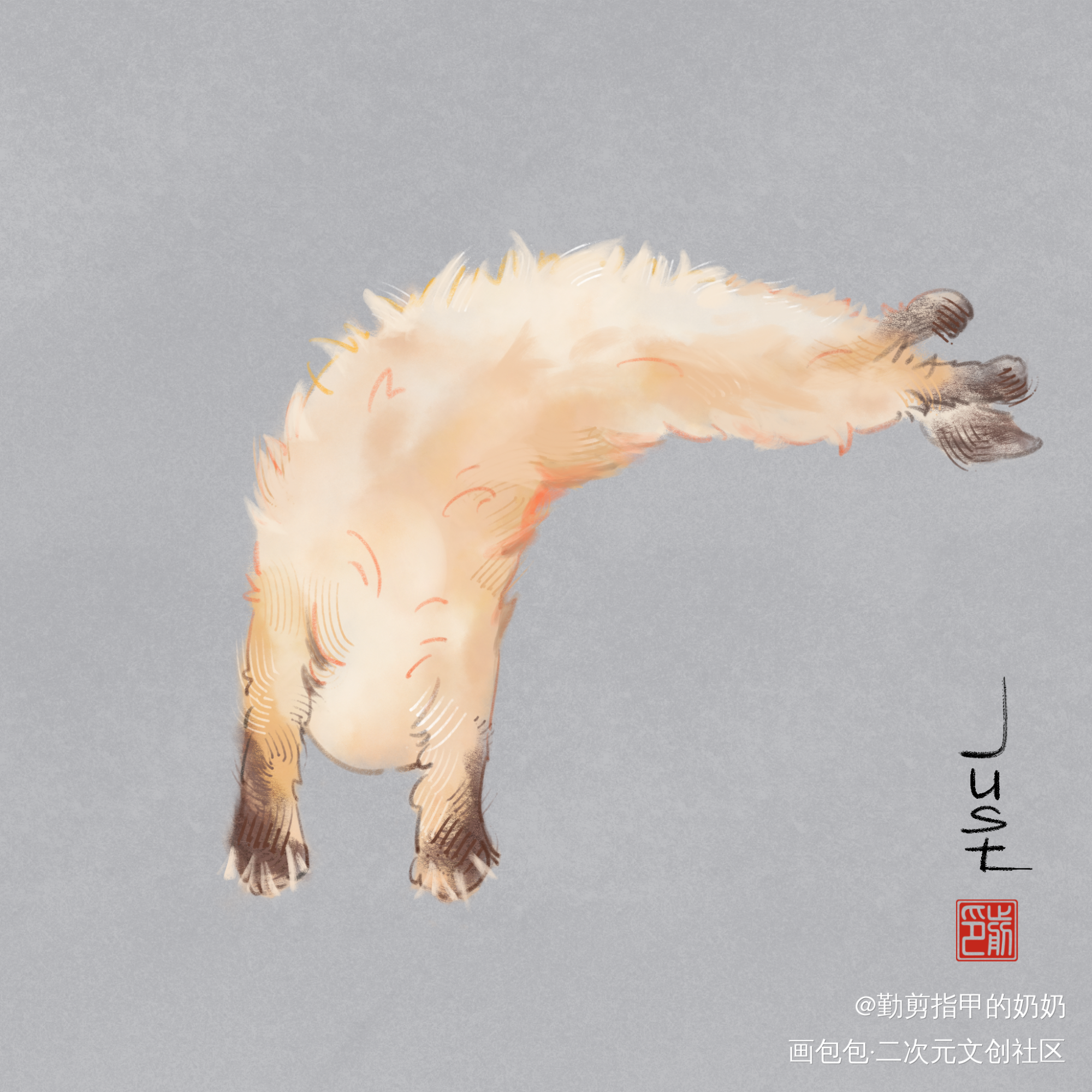 猫猫_猫猫绘画作品