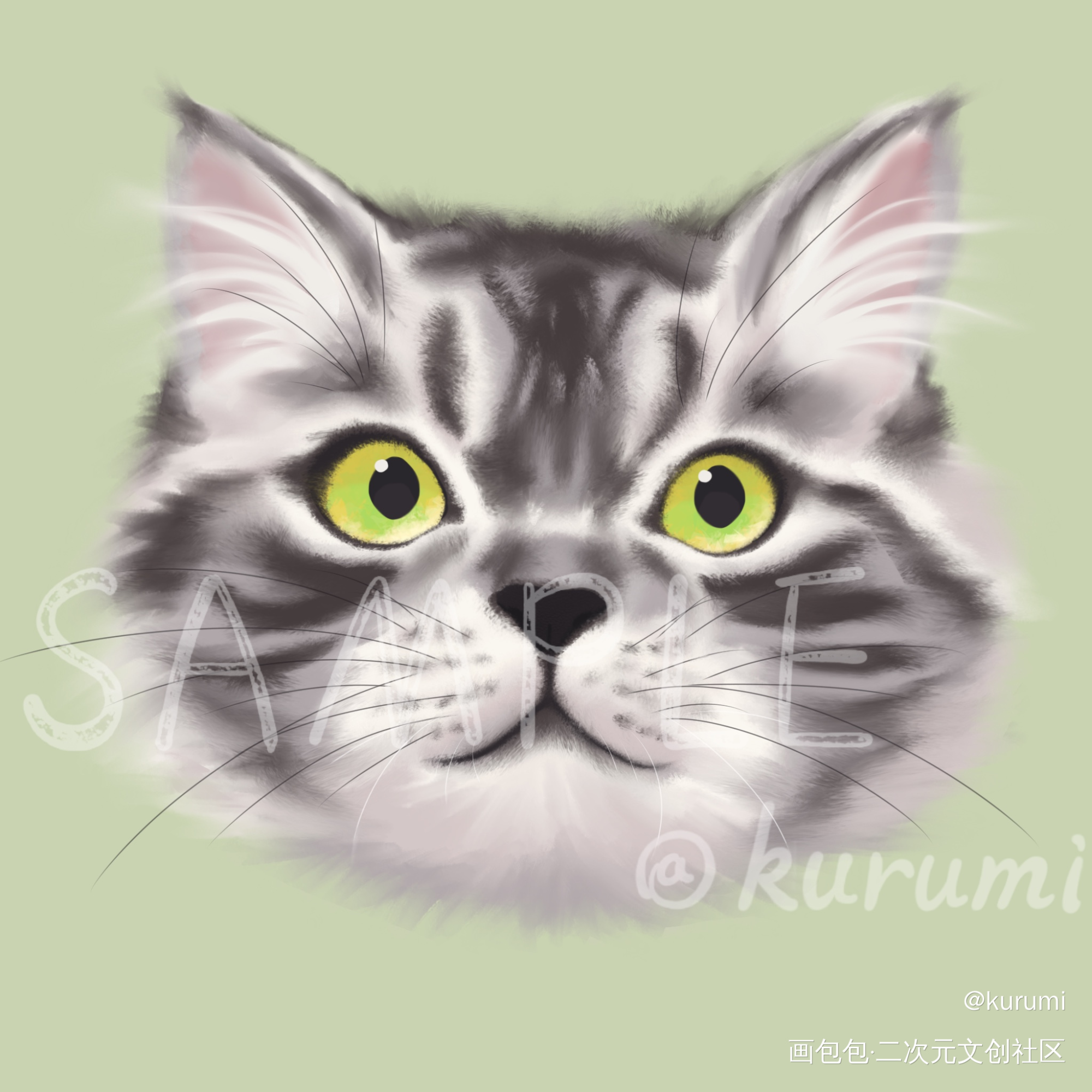 长毛银虎斑猫猫_头像插画猫原创绘画作品