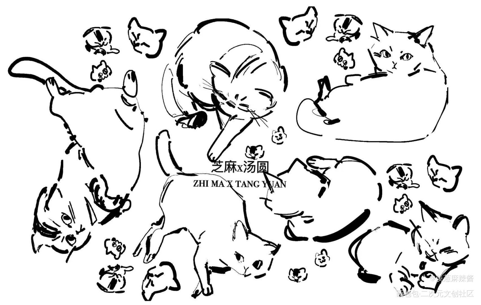 际咪画的我的猫们_黑白简笔绘画作品