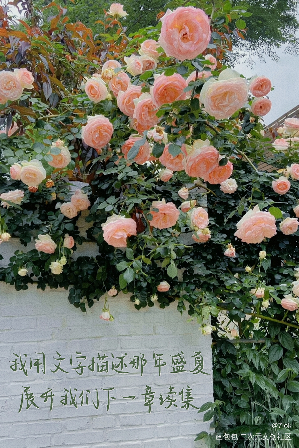我用文字描述那年盛夏_我要上首推文案见字如晤手写绘画作品