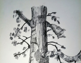 🌲（还是以前的＞＜)_绘画作品