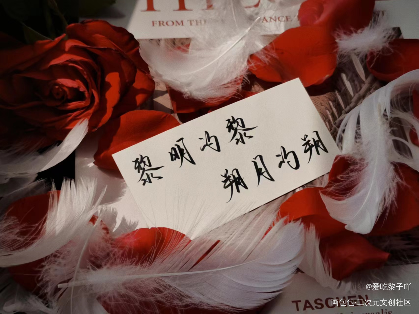 生日约稿♥小月亮永远开心^_^_谁把谁当真188男团黎朔绘画作品