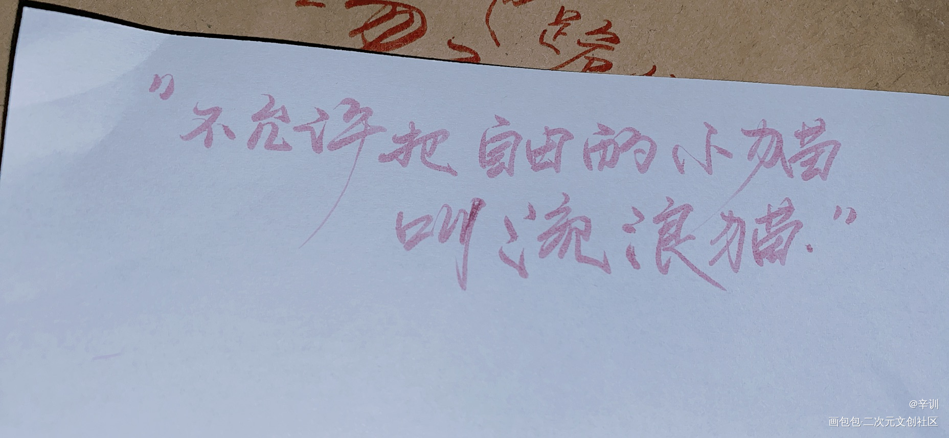 练习写字_字纸写练字写字手写纸袋绘画作品