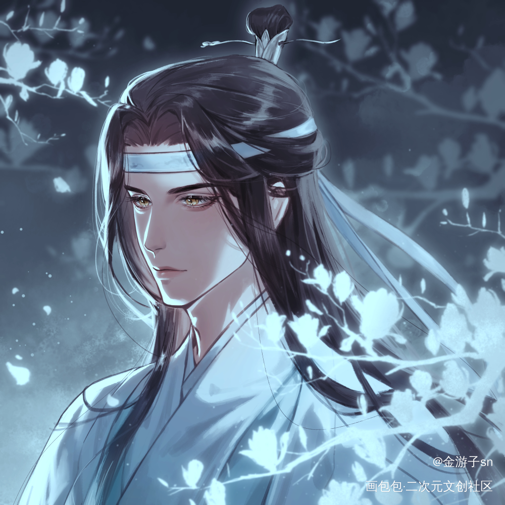 【生贺头像】——兰_魔道祖师忘羡蓝忘机古风绘画作品