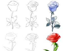 红玫瑰花和蓝玫瑰花_绘画作品