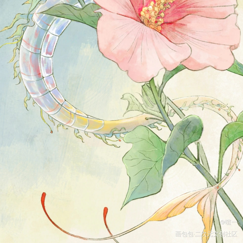 不知春秋丨蜉蝣龙龙和共生花木槿_古风插画原创插画板绘原创绘画作品