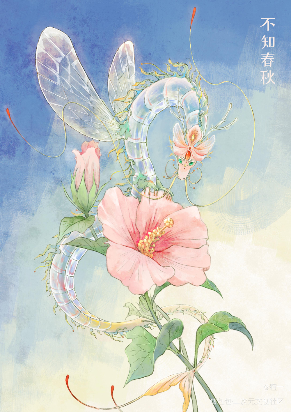 不知春秋丨蜉蝣龙龙和共生花木槿_古风插画原创插画板绘原创绘画作品