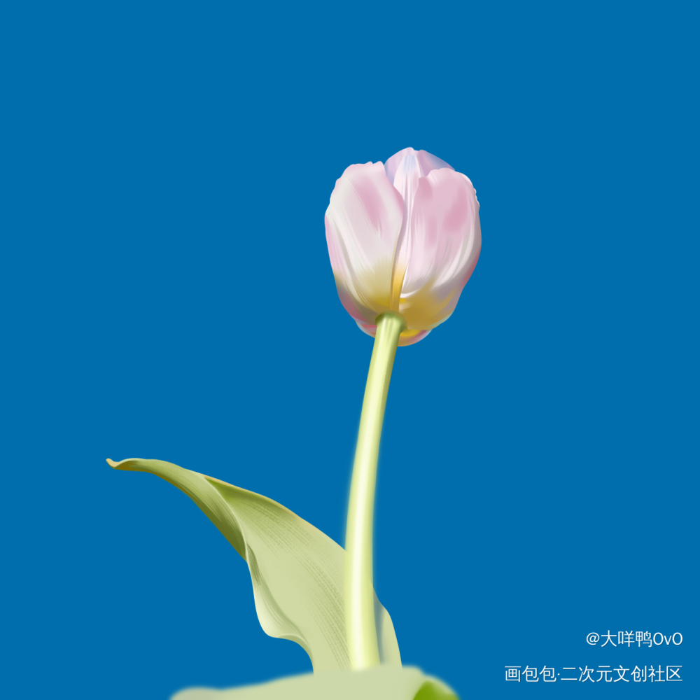 色彩班长打卡Day33_色彩班长色彩60天挑战赛画包包奖学金绘画课奖学金计划色彩打卡60天挑战绘画作品