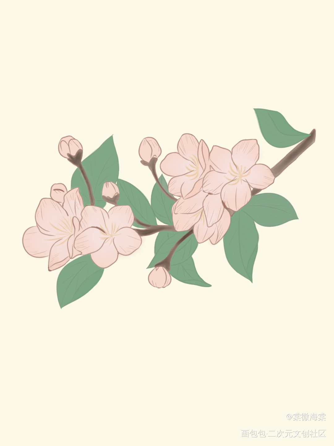 _海棠花绘画作品