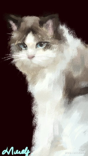 _板绘涂摸鱼页绘画作品