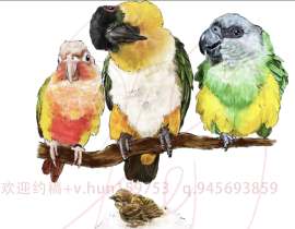 鸟们和狗_绘画作品