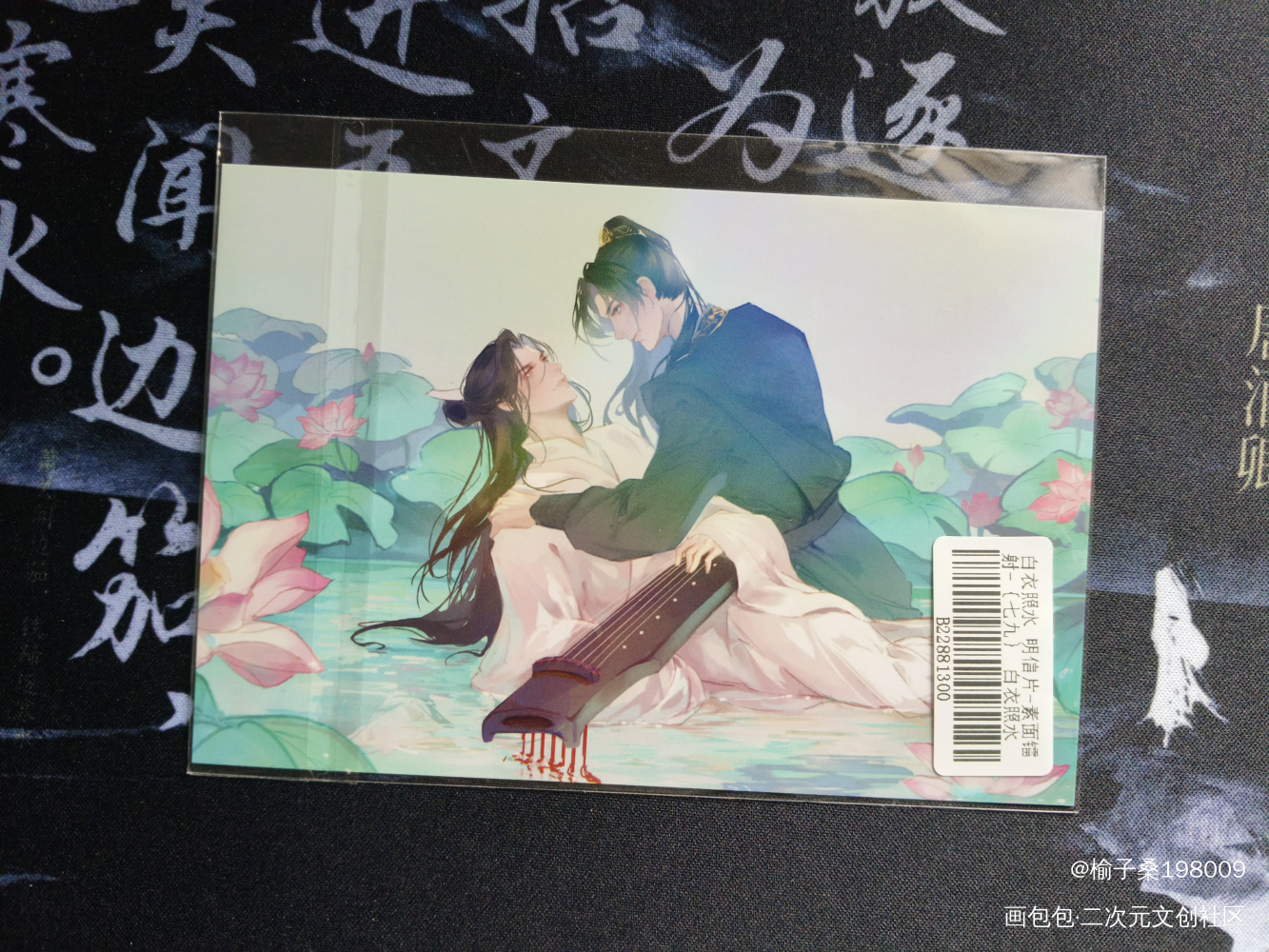 _二哈和他的白猫师尊无料返图绘画作品