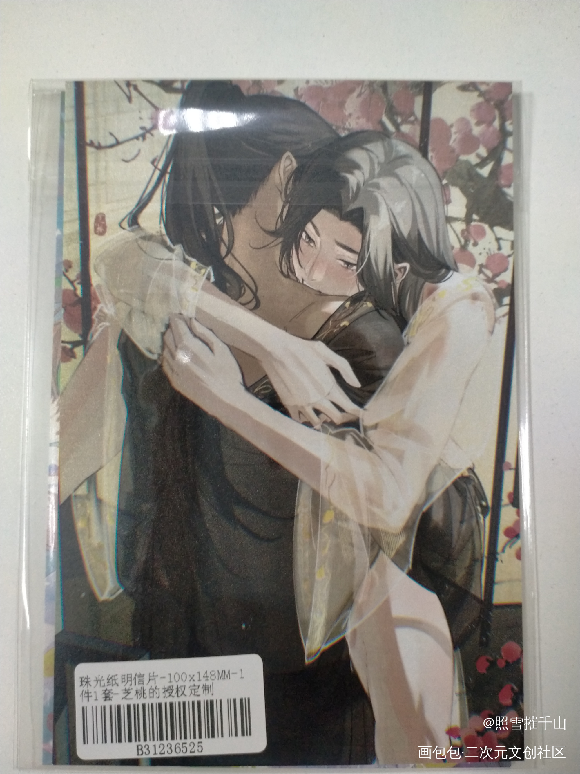 _二哈和他的白猫师尊授权返图绘画作品
