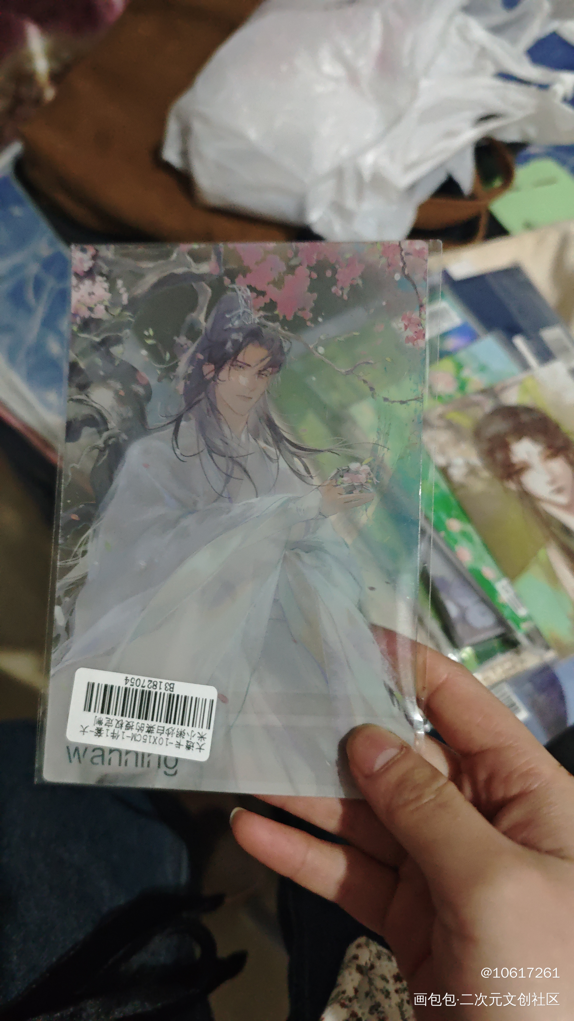 _二哈和他的白猫师尊授权返图绘画作品