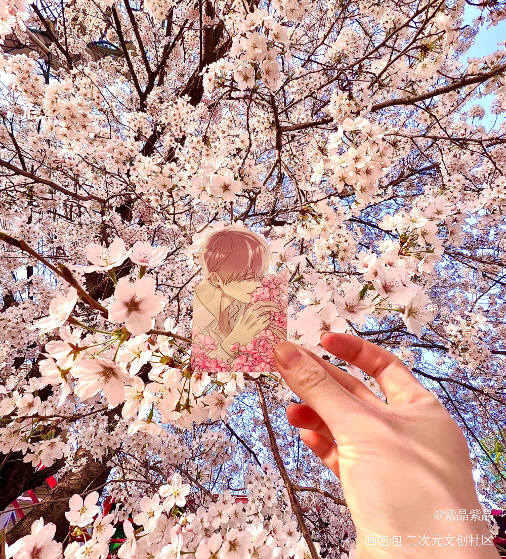 海水与樱花绝配！_春天就要有樱花高质量美谷韩漫绘画作品