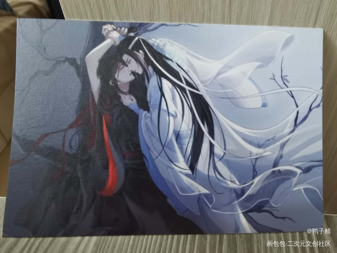 _魔道祖师无料返图绘画作品