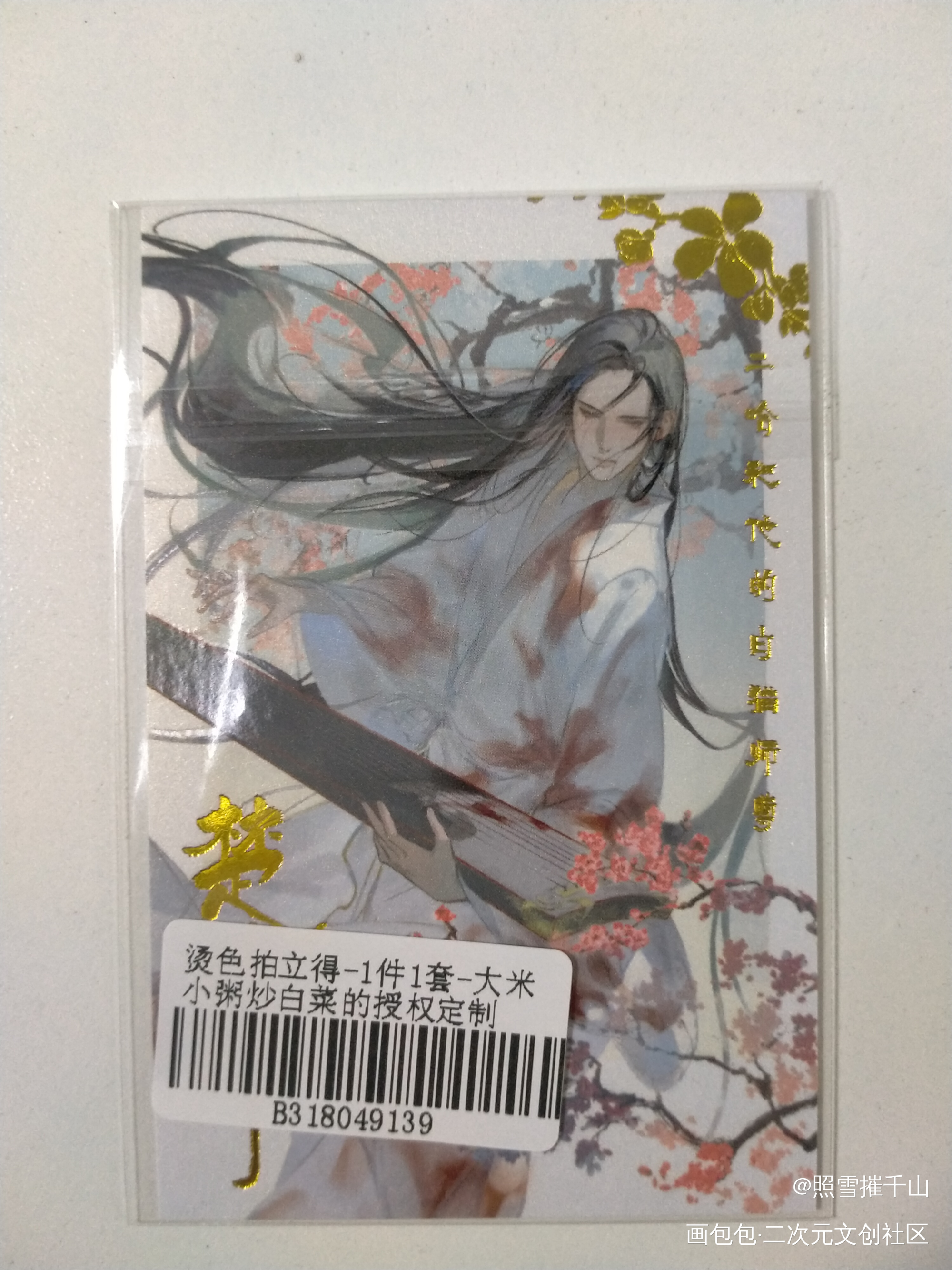 晚宁宝贝_二哈和他的白猫师尊授权返图绘画作品