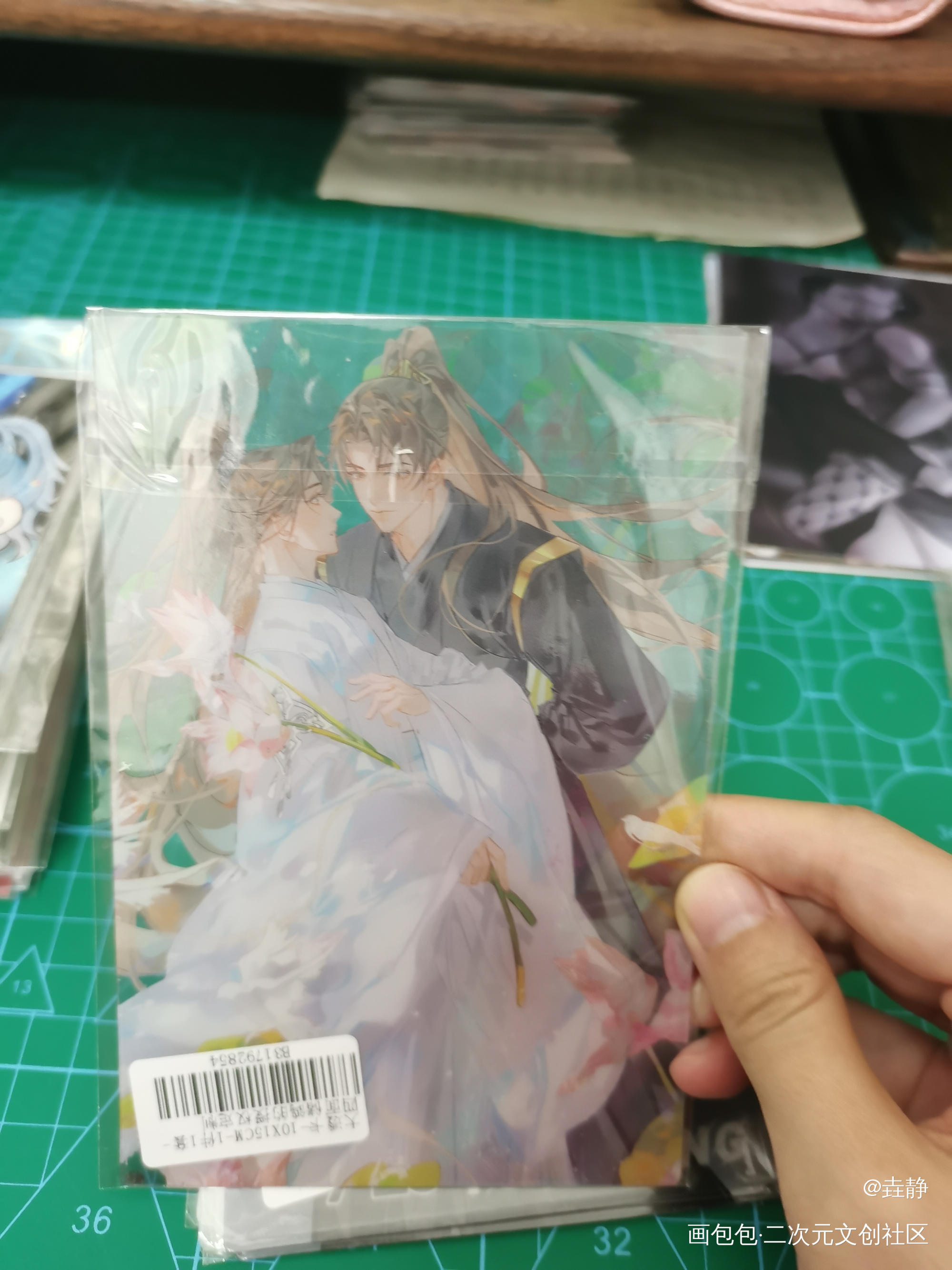 _二哈和他的白猫师尊授权返图绘画作品