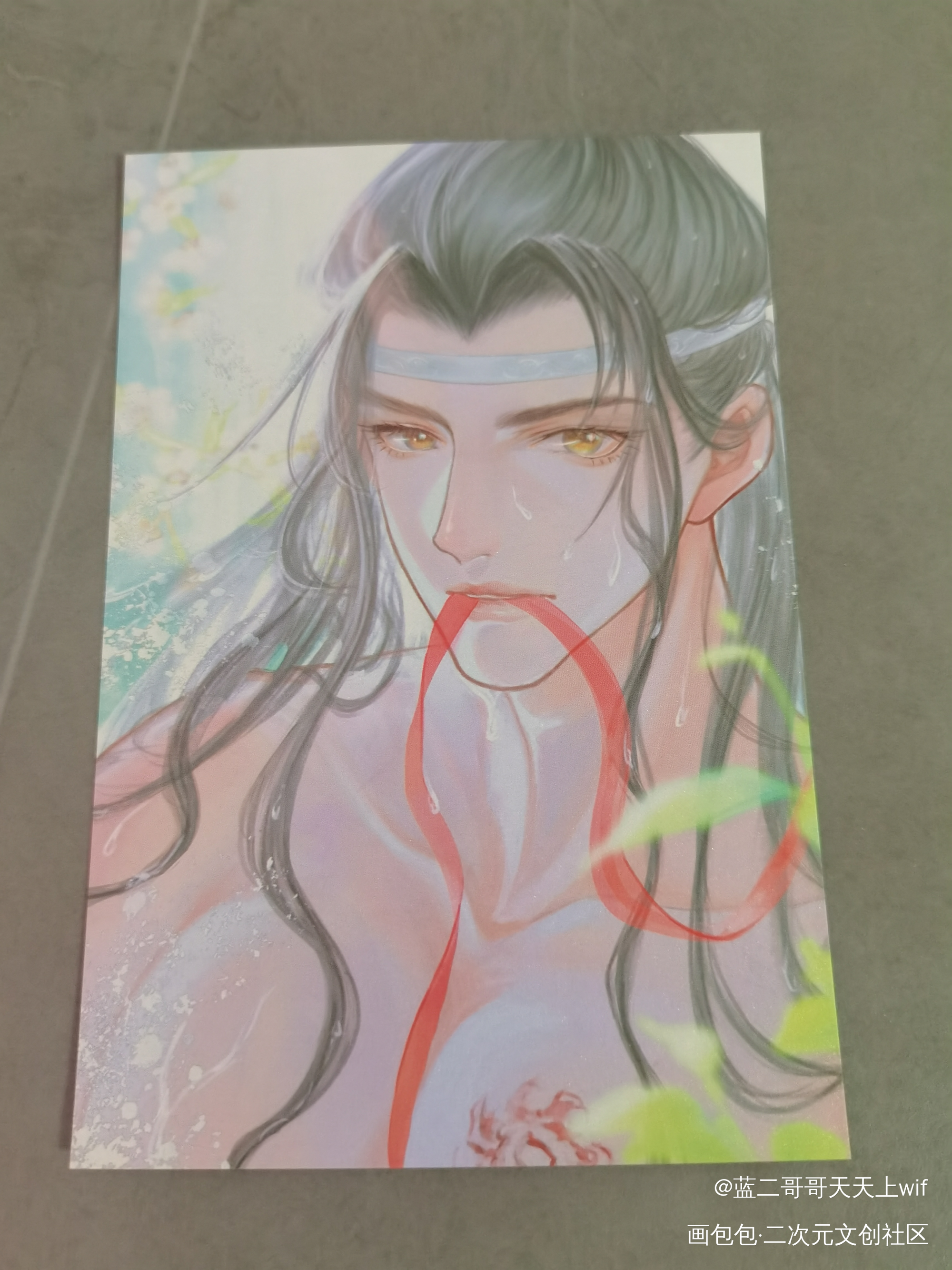 _魔道祖师授权返图绘画作品