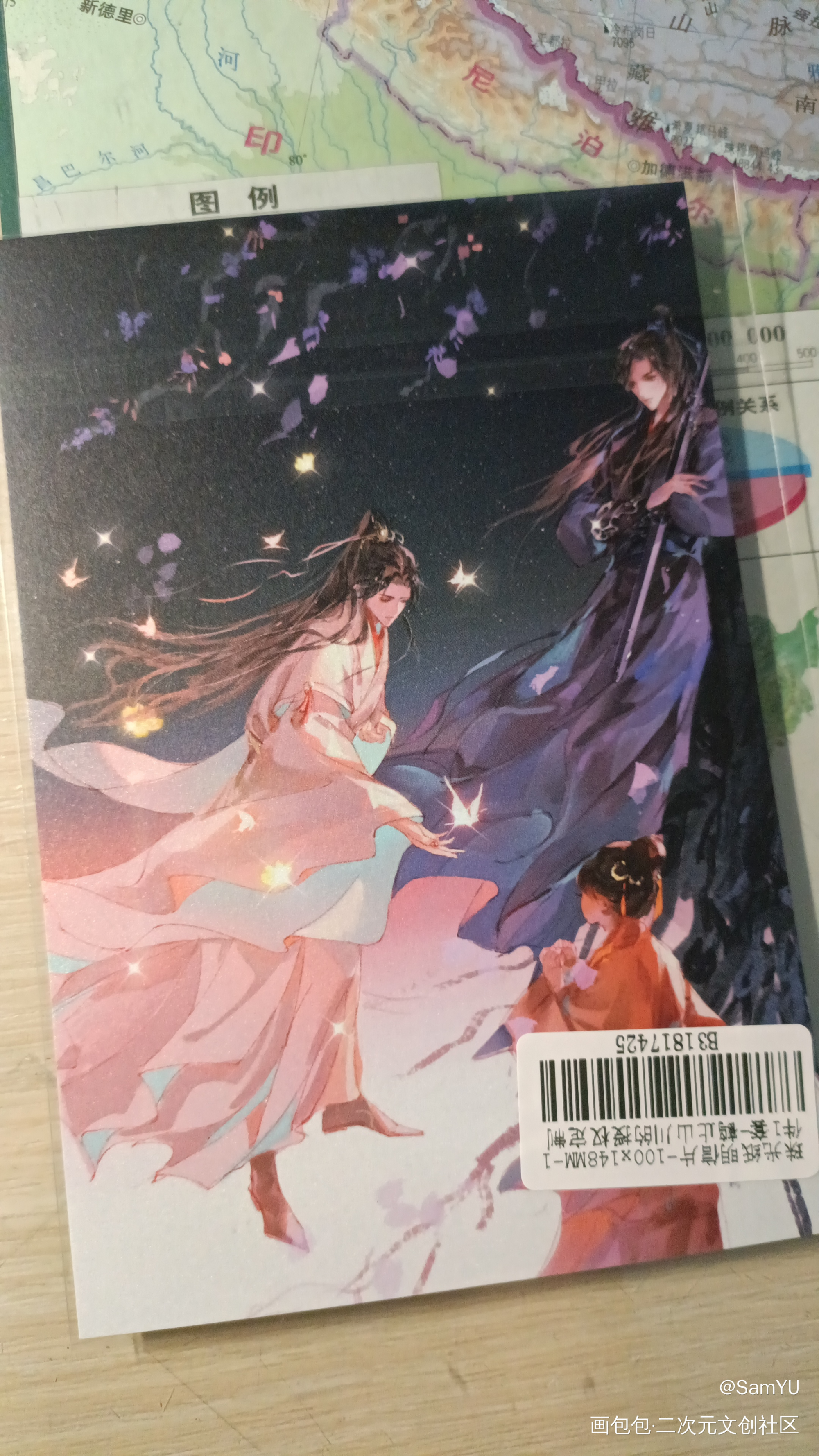 _二哈和他的白猫师尊授权返图绘画作品