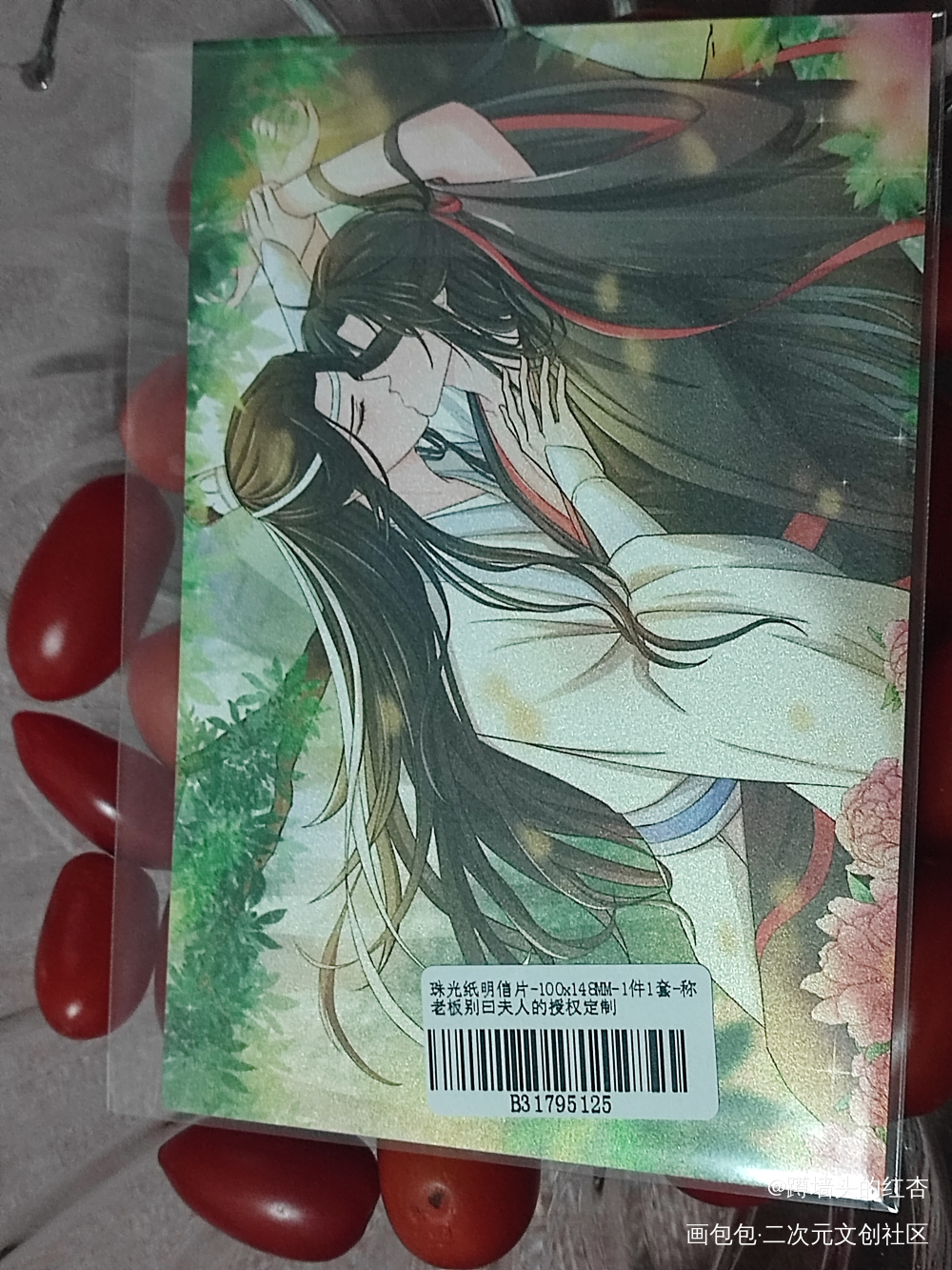 _魔道祖师授权返图忘羡蓝忘机魏无羡绘画作品