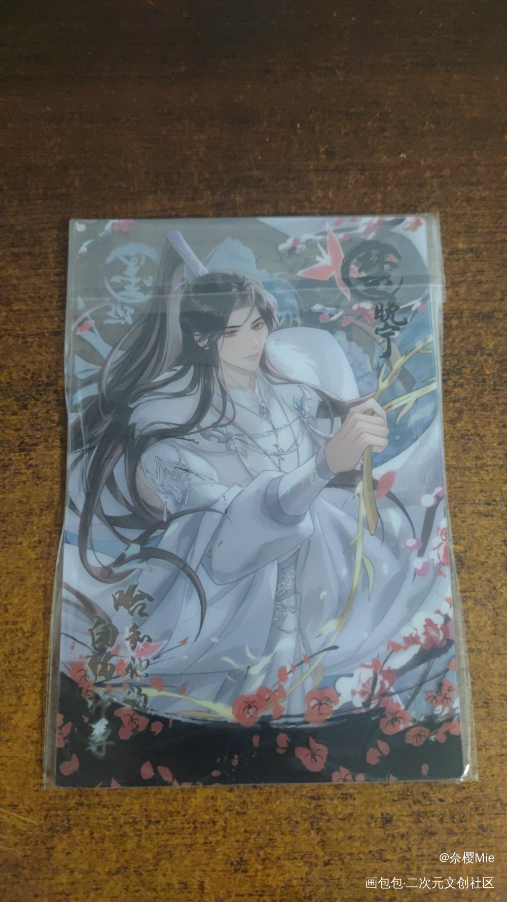 _二哈和他的白猫师尊授权返图绘画作品