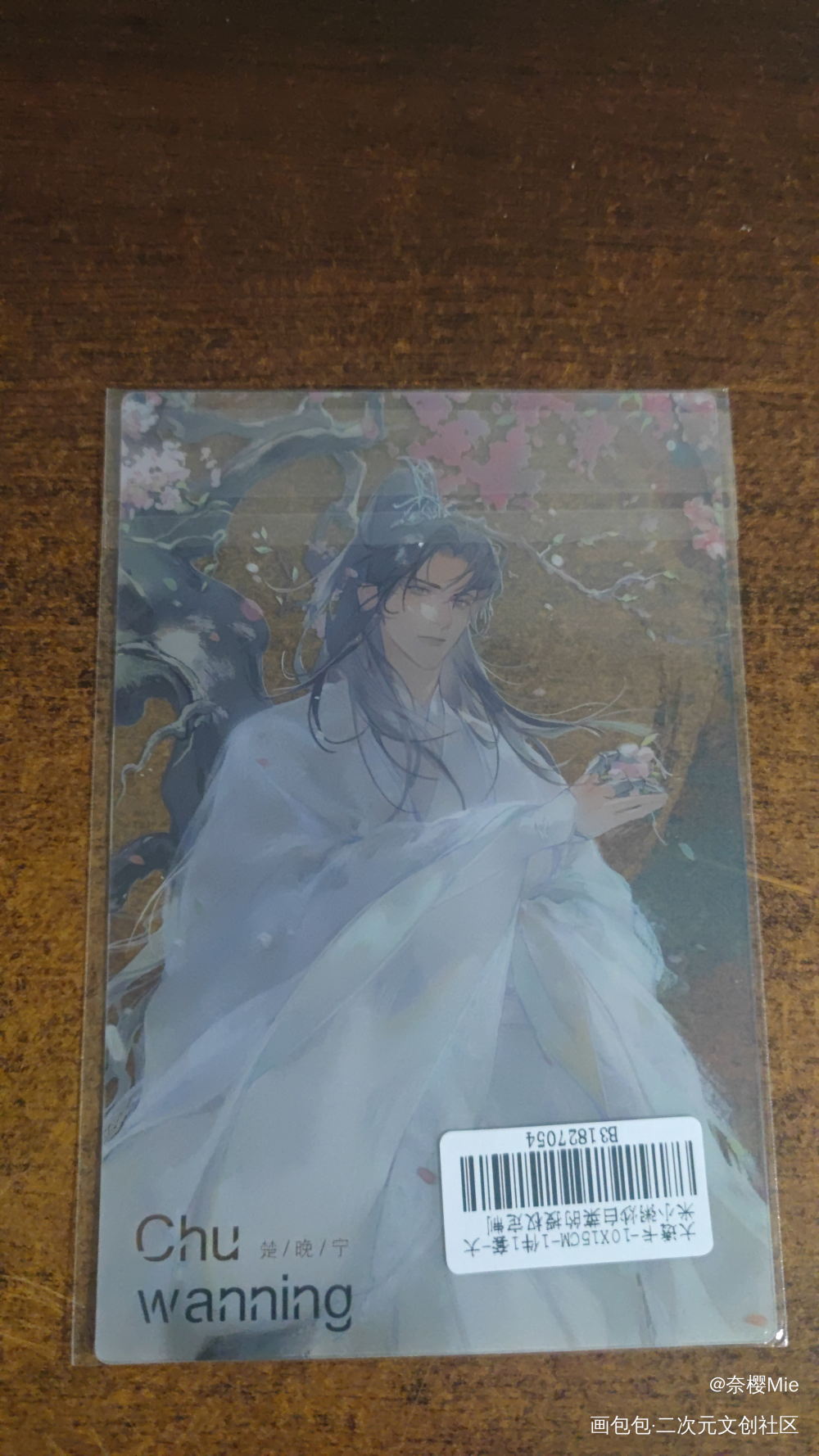 _二哈和他的白猫师尊授权返图绘画作品