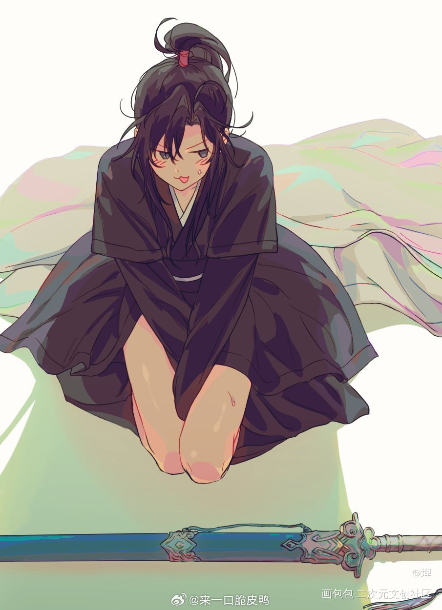 _魔道祖师蓝忘机·魔道祖师魏无羡·魔道祖师蓝忘机魏无羡绘画作品