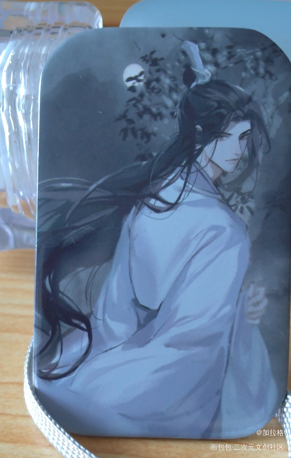 _二哈和他的白猫师尊楚晚宁·二哈和他的白猫师尊绘画作品