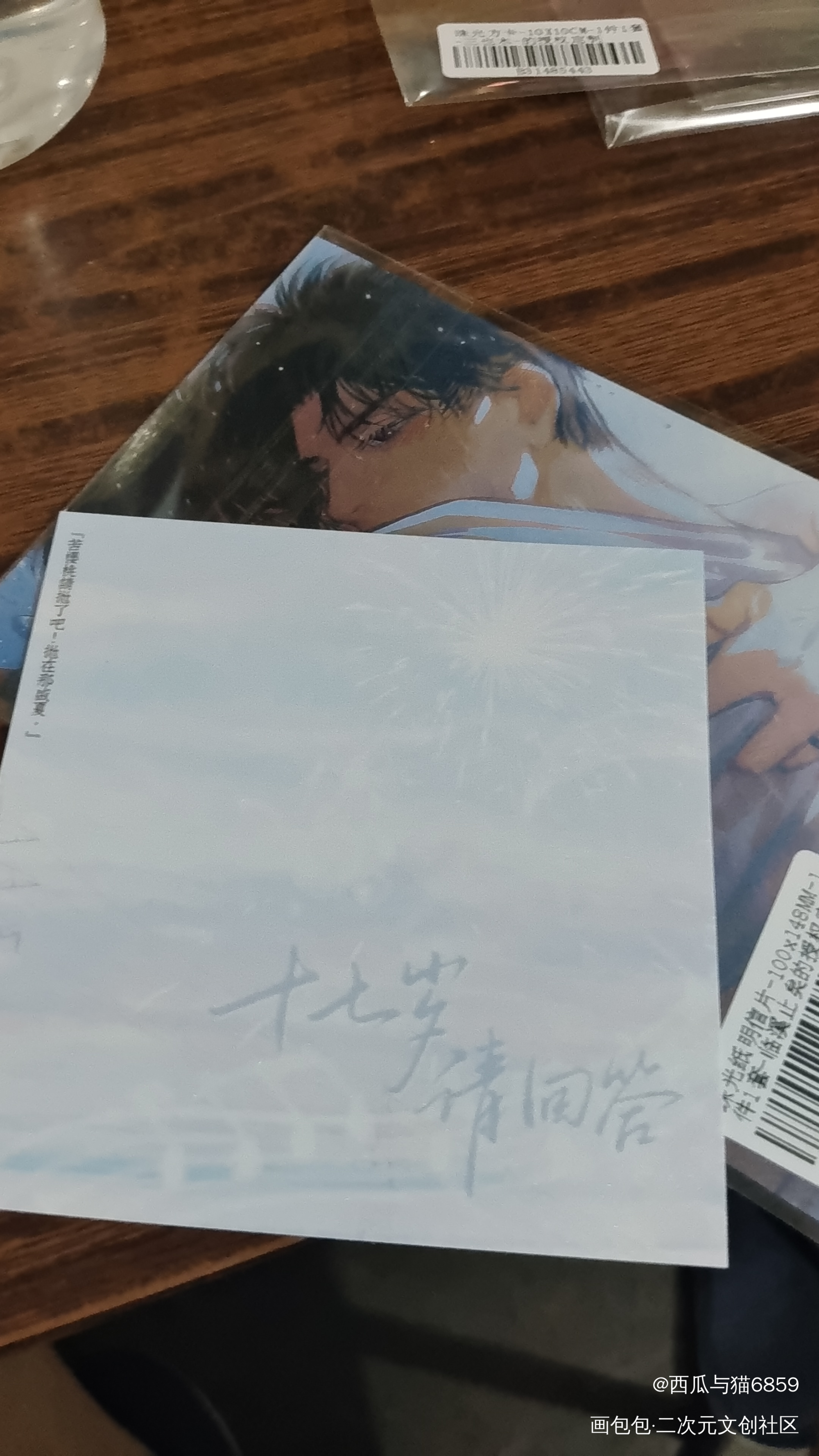 _某某授权返图绘画作品