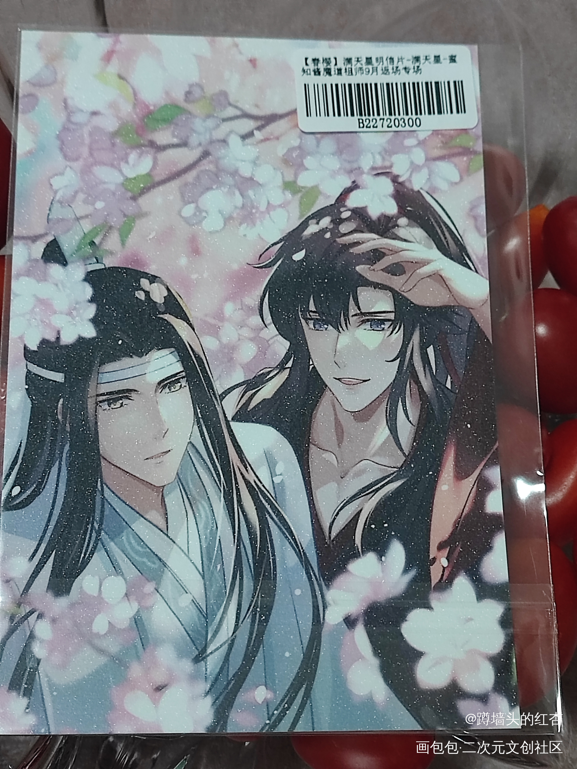 _魔道祖师无料返图忘羡蓝忘机魏无羡绘画作品