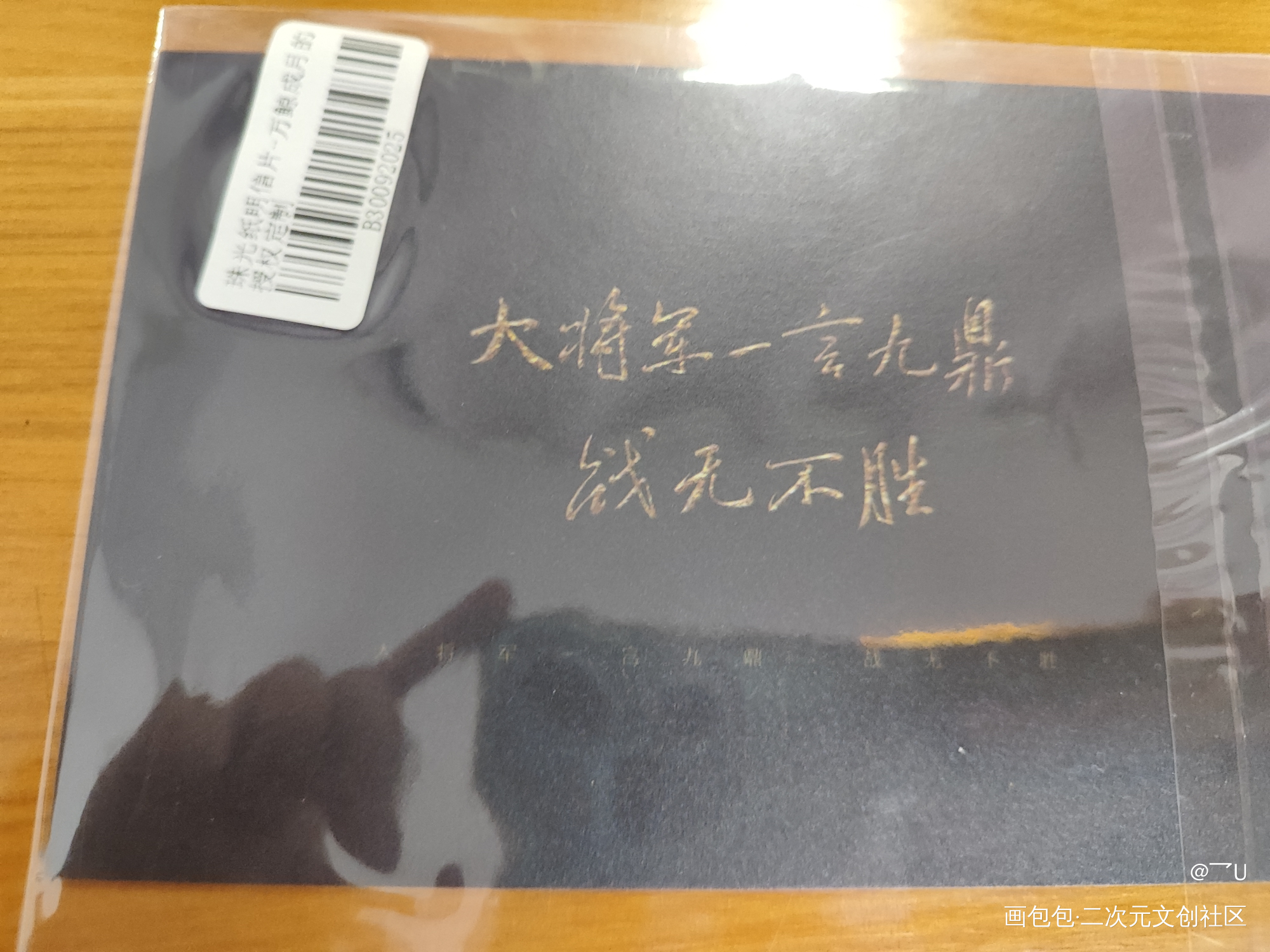 _杀破狼授权返图绘画作品