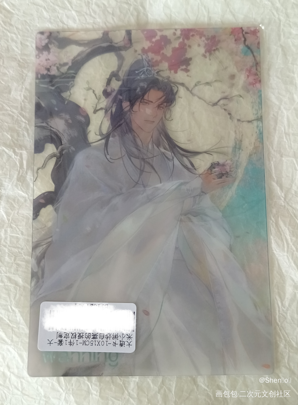 _二哈和他的白猫师尊授权返图绘画作品