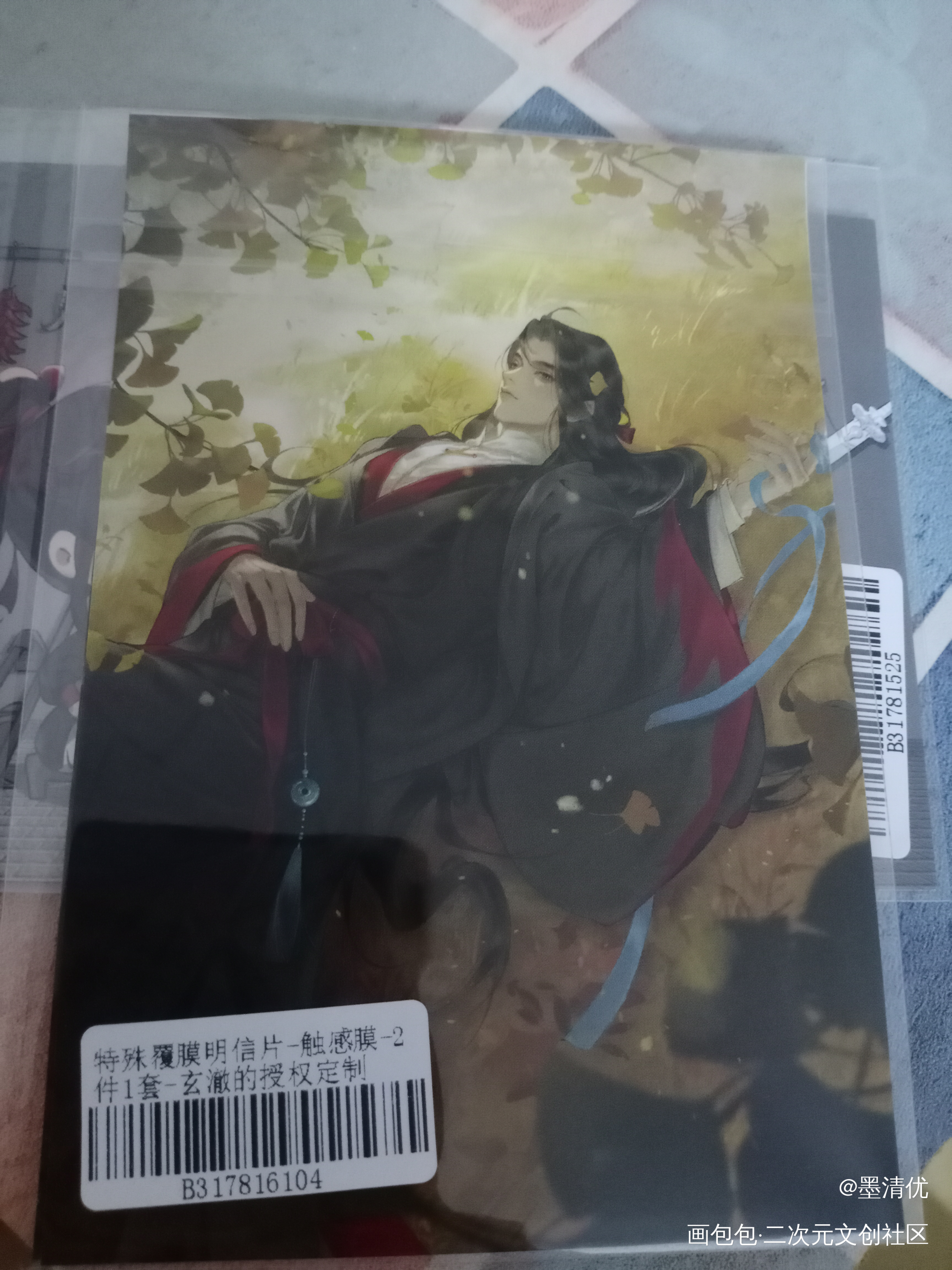 _魔道祖师授权返图绘画作品