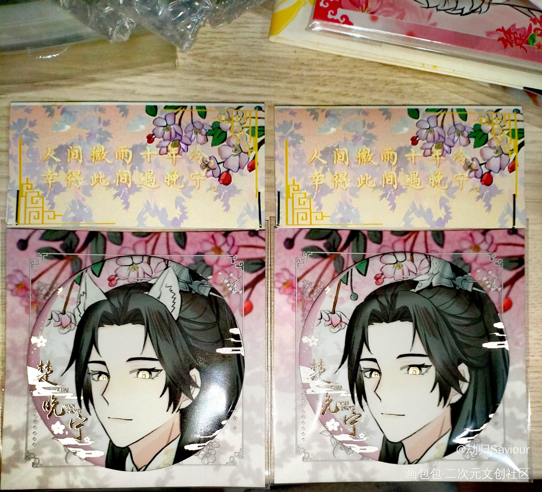 【二哈和他的白猫师尊】楚晚宁_二哈和他的白猫师尊楚晚宁绘画作品