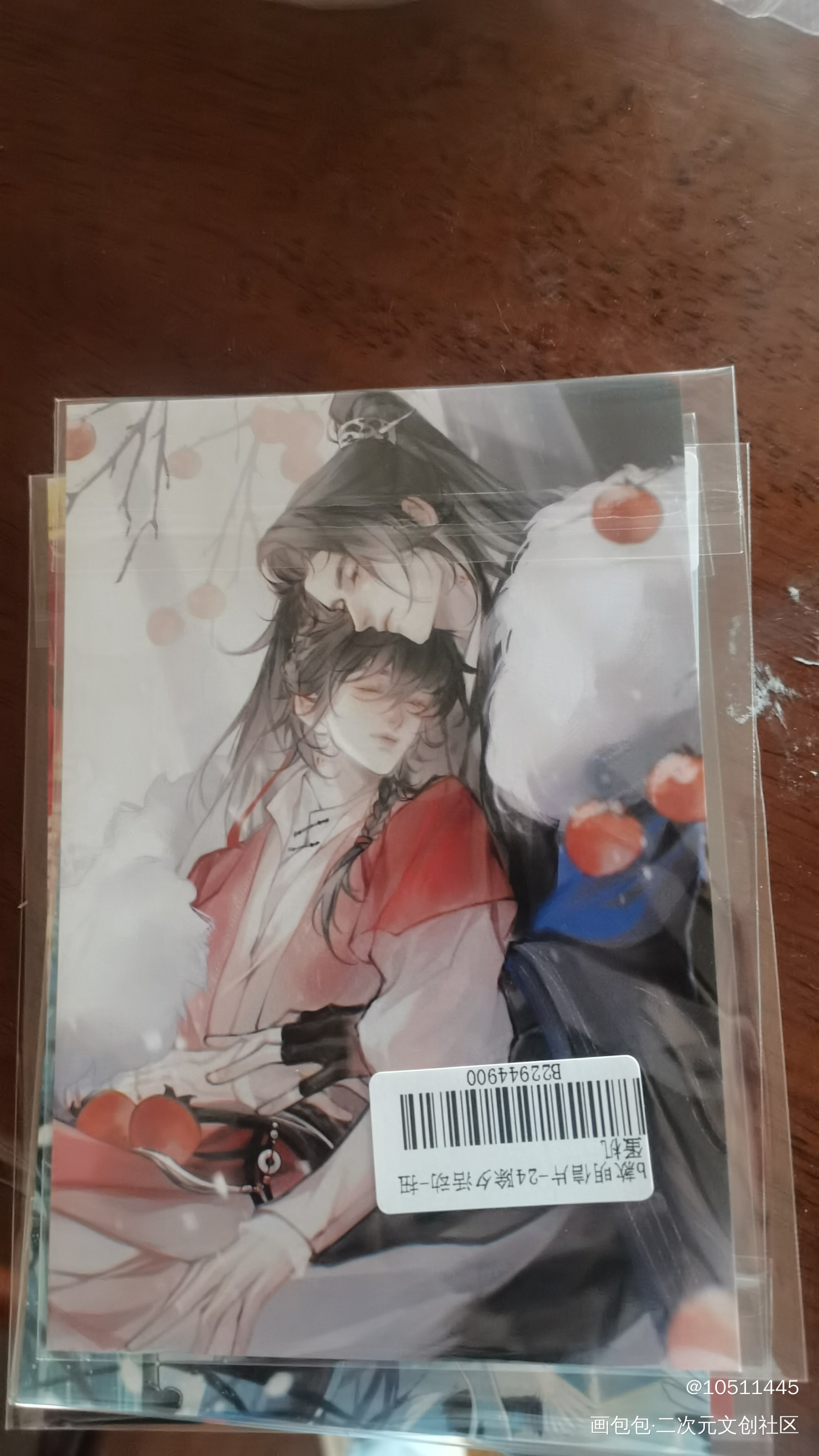 _二哈和他的白猫师尊无料返图绘画作品