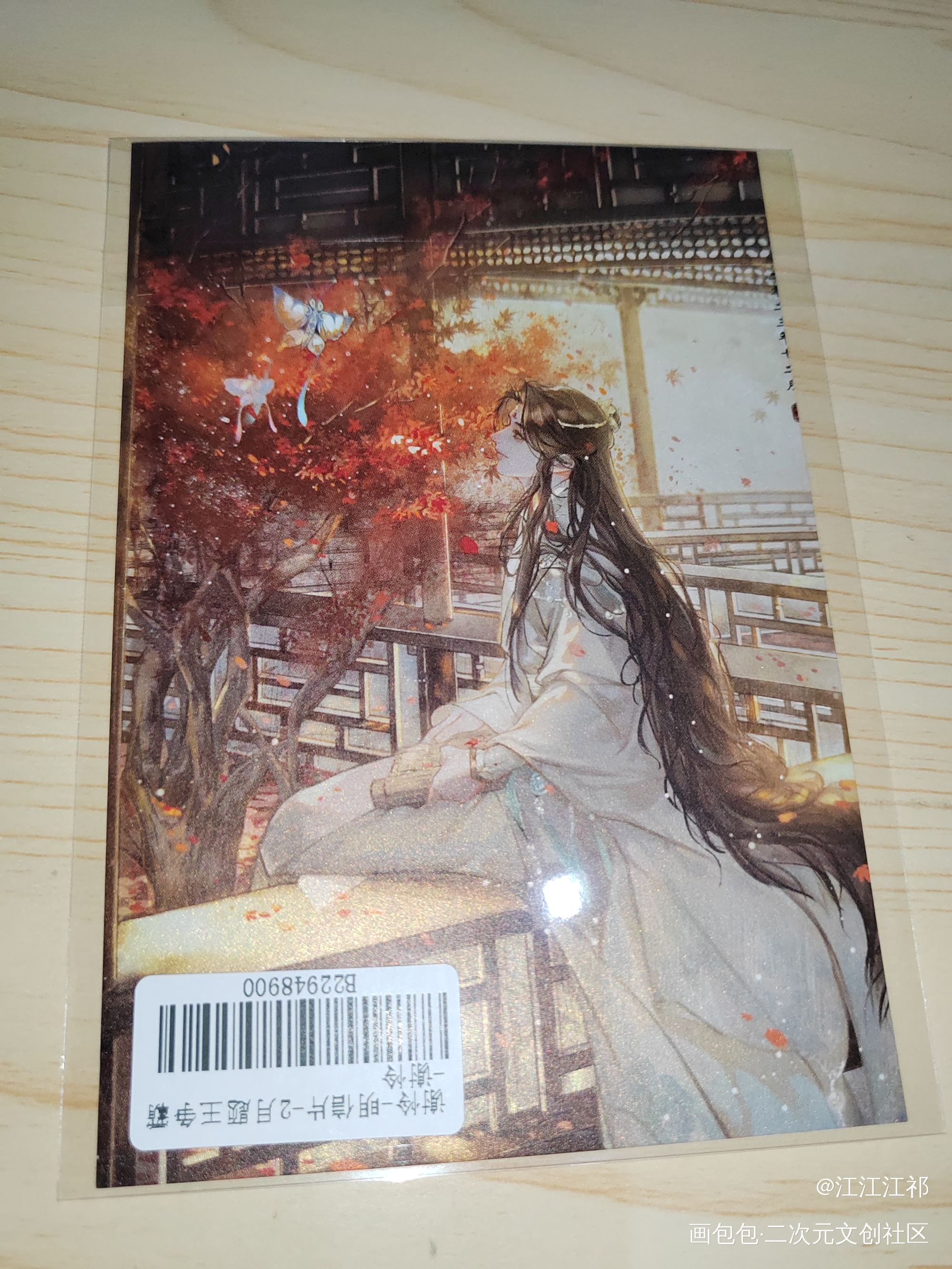 _天官赐福无料返图谢怜绘画作品