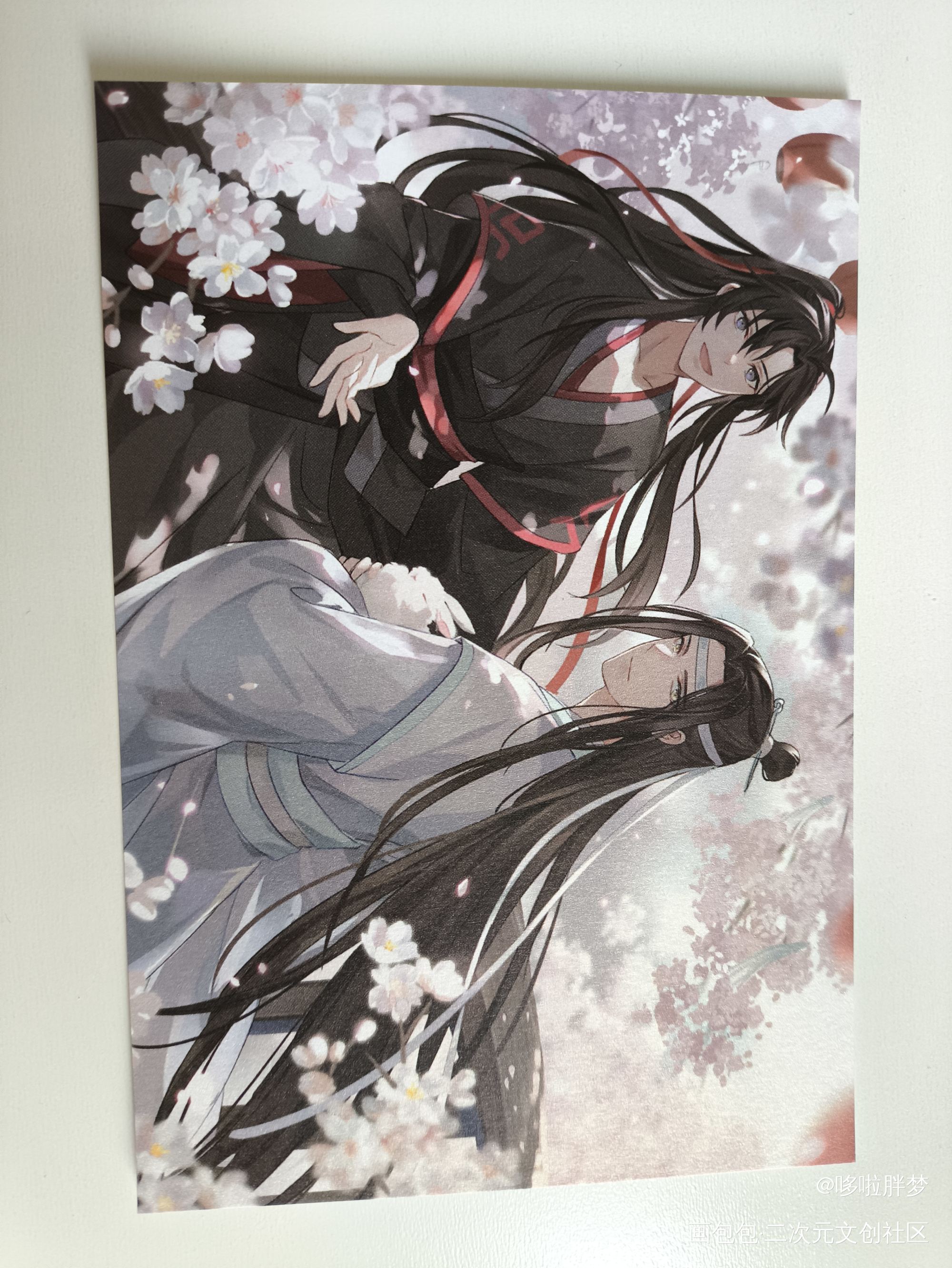 _魔道祖师无料返图绘画作品