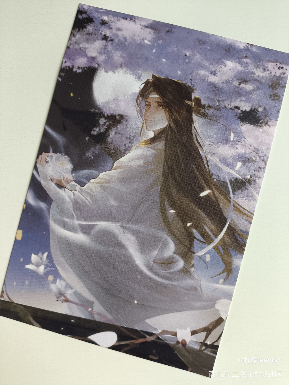 _魔道祖师无料返图绘画作品
