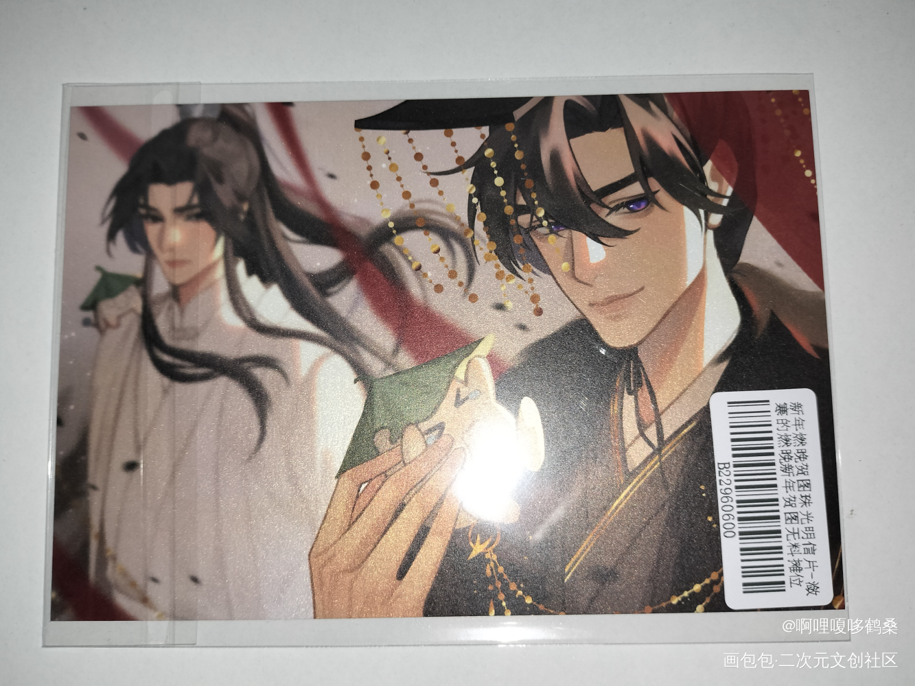 _二哈和他的白猫师尊无料返图绘画作品
