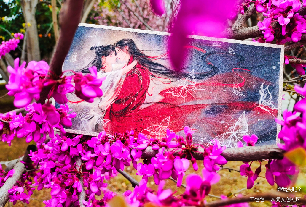 天官赐福_天官赐福花怜谷美绘画作品
