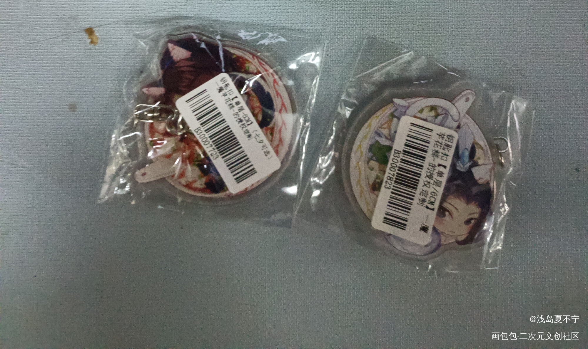 _二哈和他的白猫师尊授权返图绘画作品