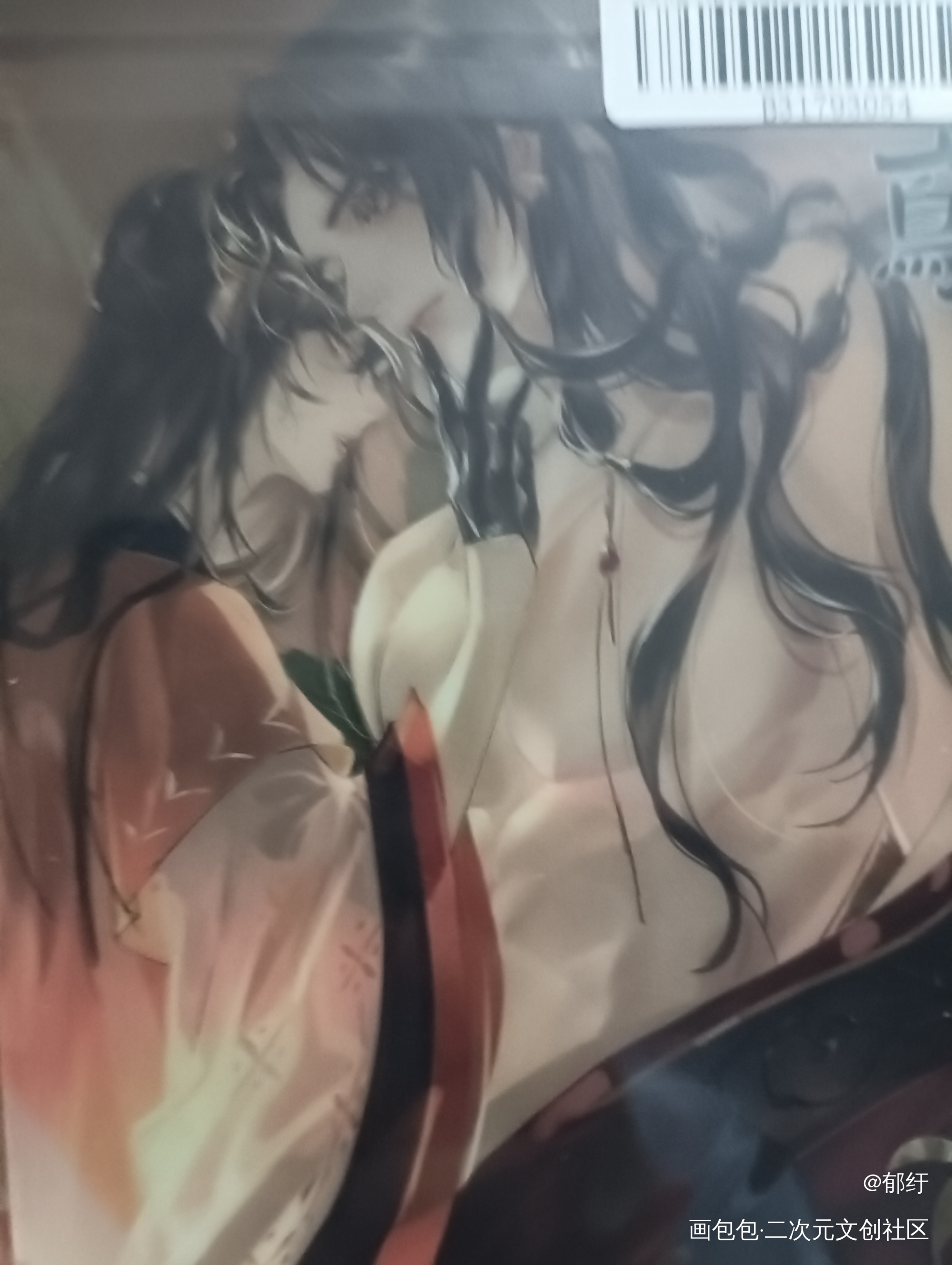 _代号鸢授权返图绘画作品