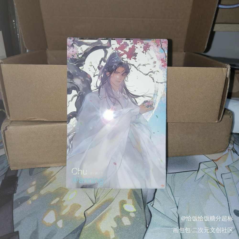 _楚晚宁·二哈和他的白猫师尊绘画作品