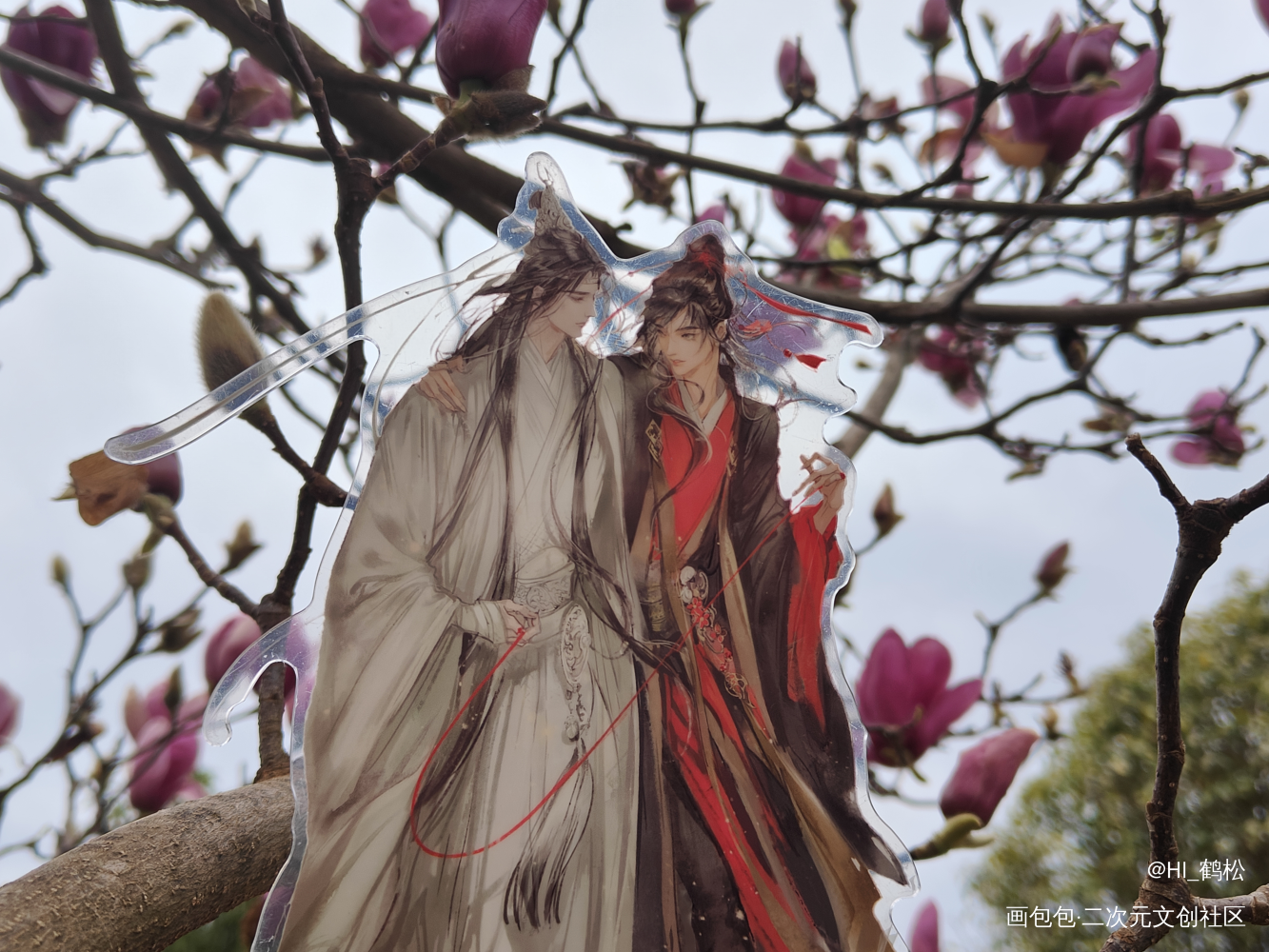 玉兰花开_魔道祖师忘羡蓝忘机·魔道祖师魏无羡·魔道祖师绘画作品