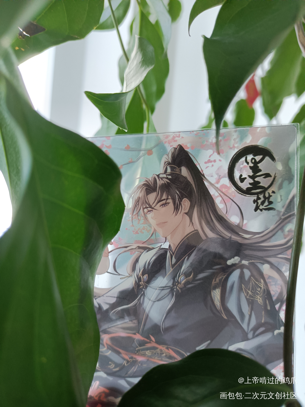 超美丽的燃晚～_二哈和他的白猫师尊授权返图绘画作品