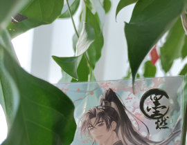 超美丽的燃晚～_绘画作品